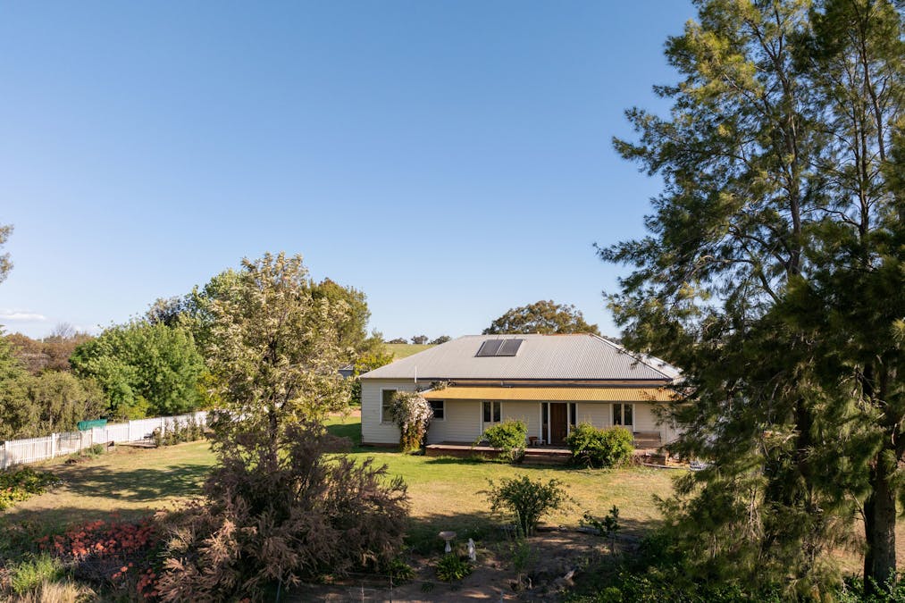 251 Pattersons Lane, Young, NSW, 2594 - Image 11