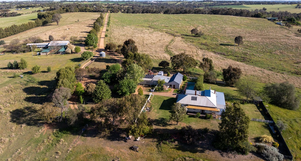 251 Pattersons Lane, Young, NSW, 2594 - Image 2