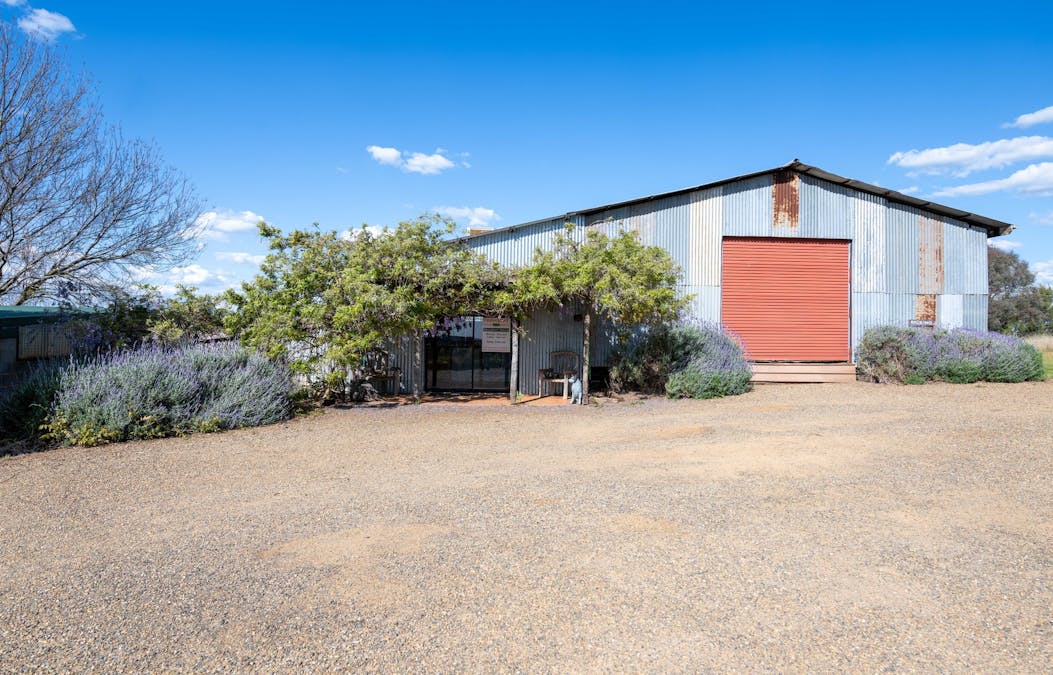 251 Pattersons Lane, Young, NSW, 2594 - Image 19