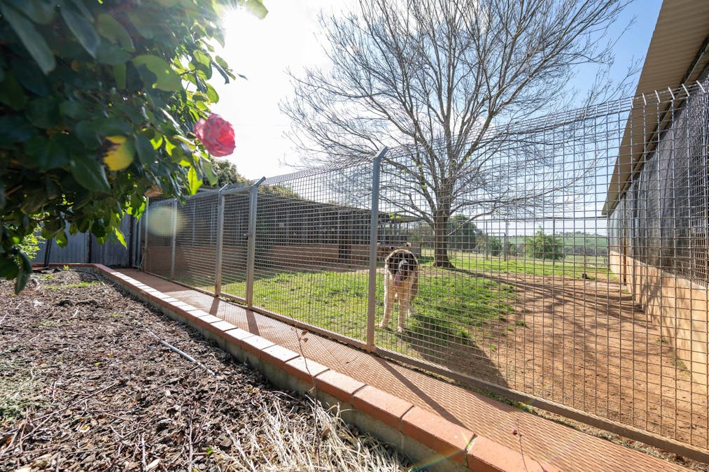 251 Pattersons Lane, Young, NSW, 2594 - Image 21