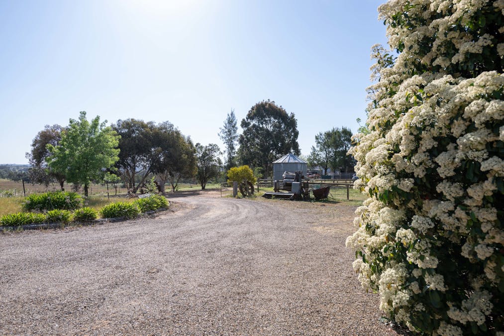 251 Pattersons Lane, Young, NSW, 2594 - Image 24