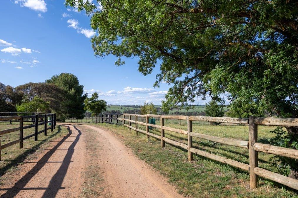 251 Pattersons Lane, Young, NSW, 2594 - Image 23