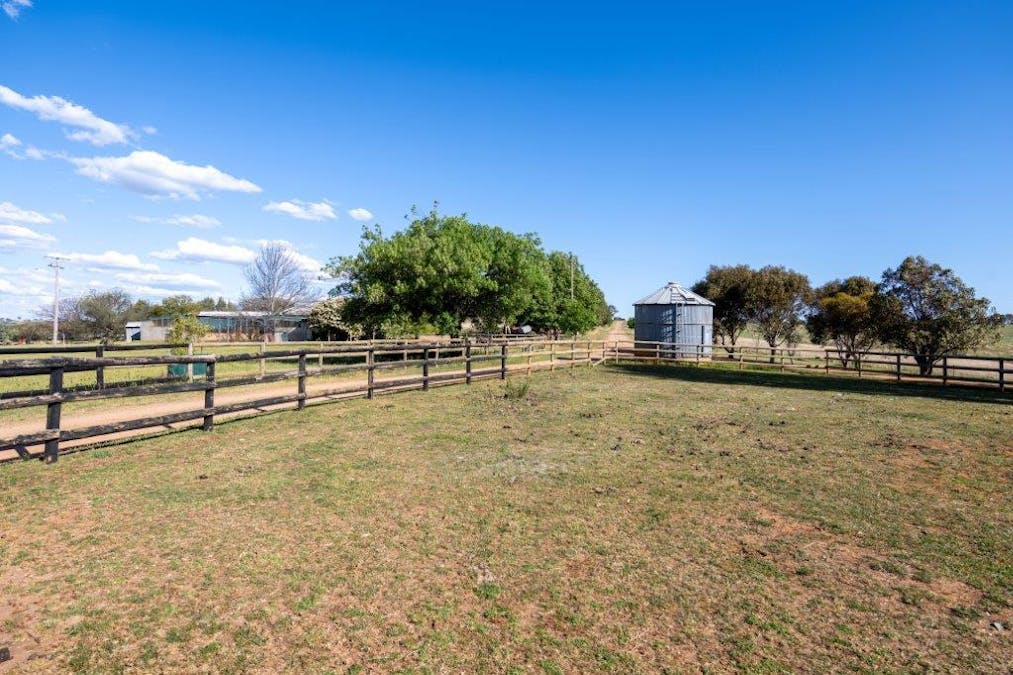 251 Pattersons Lane, Young, NSW, 2594 - Image 29