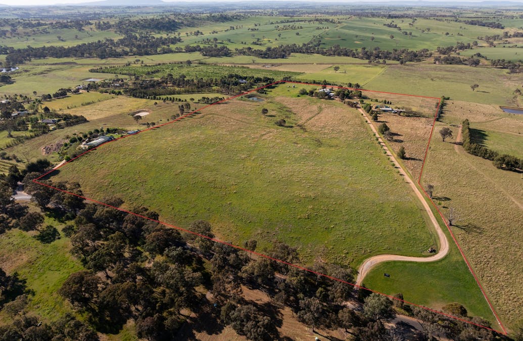 251 Pattersons Lane, Young, NSW, 2594 - Image 4