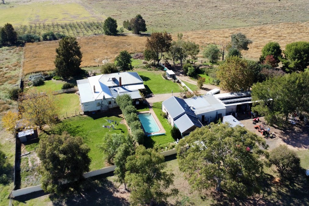 251 Pattersons Lane, Young, NSW, 2594 - Image 12