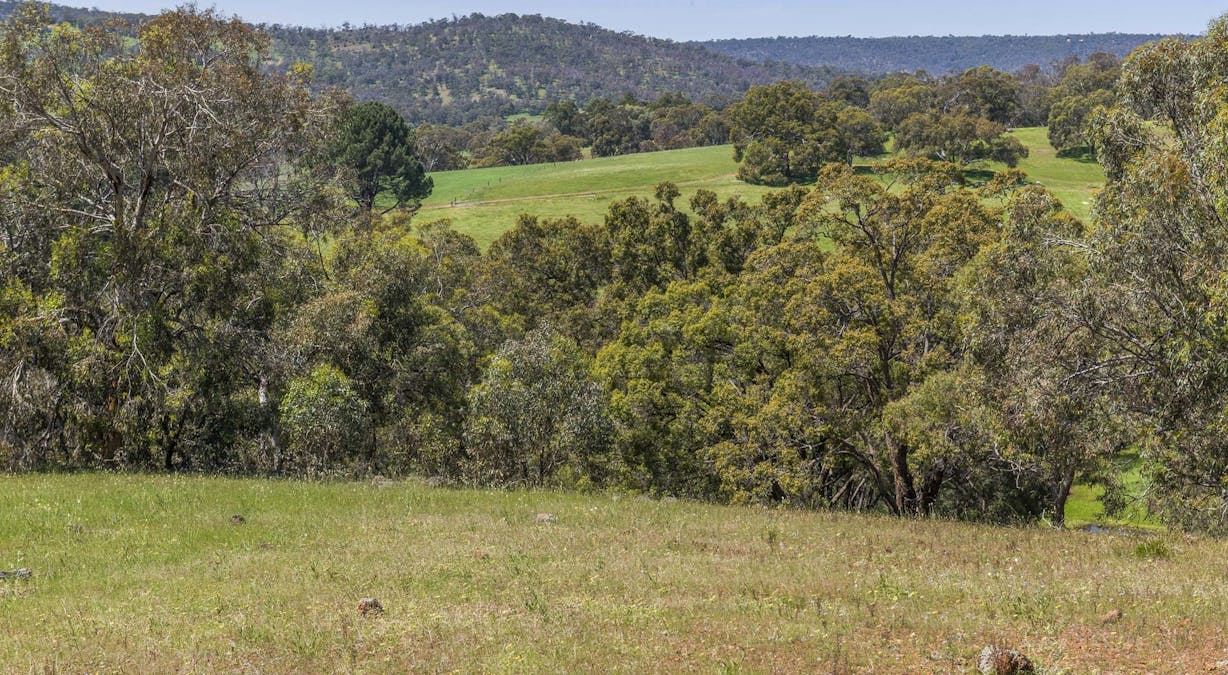 2328 Chittering Road, Lower Chittering, WA, 6084 - Image 9