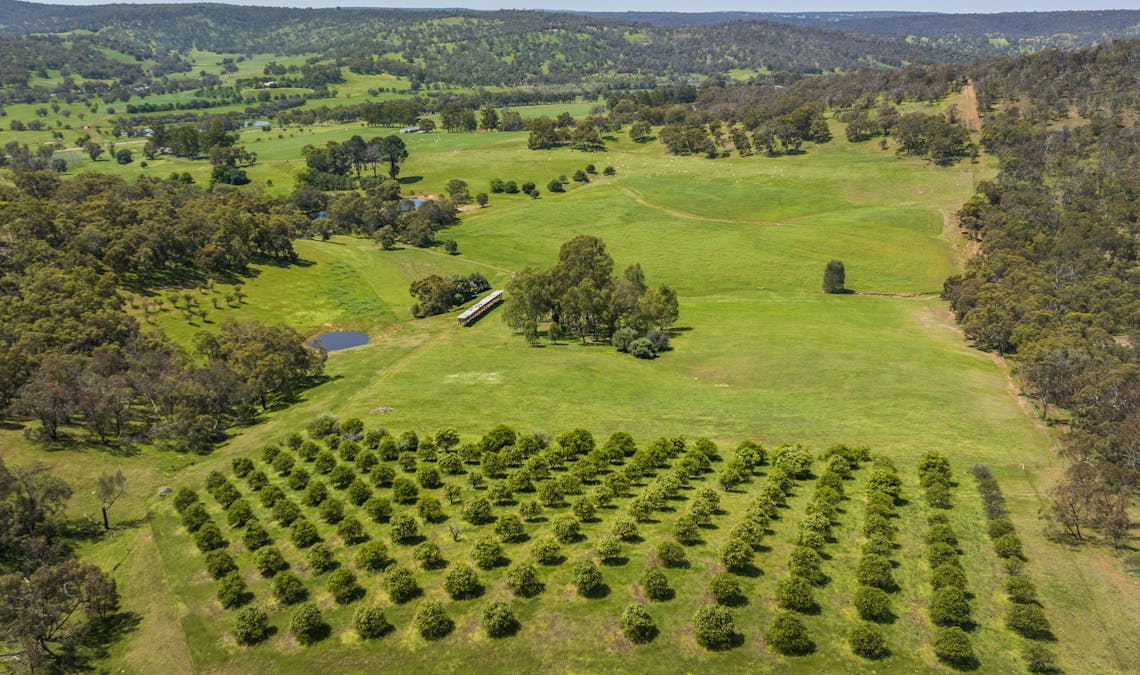 2328 Chittering Road, Lower Chittering, WA, 6084 - Image 4