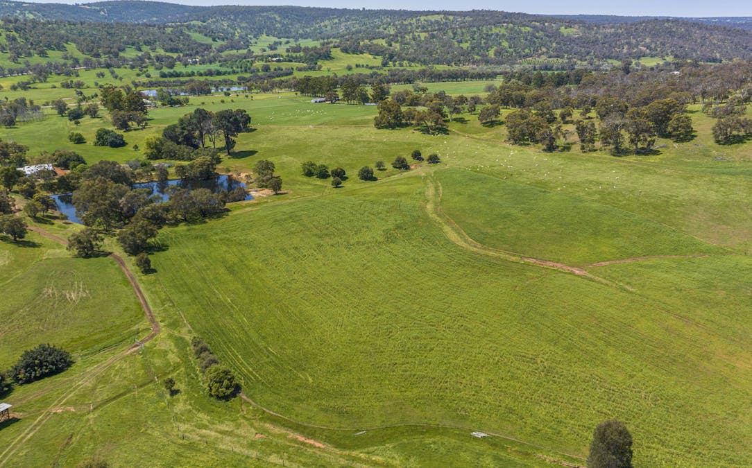 2328 Chittering Road, Lower Chittering, WA, 6084 - Image 14