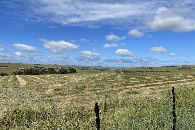 Cnr Glenelg Highway and Denhills Road, Coleraine, VIC, 3315 - Image 1