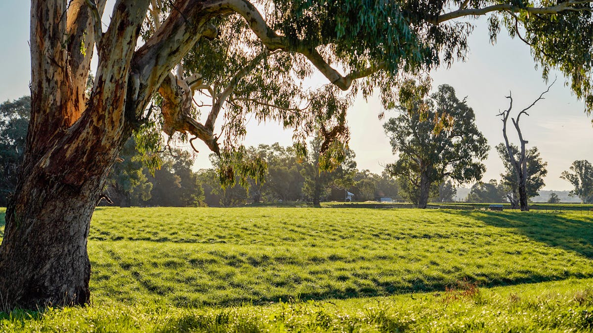 19R Rocky Road, Dubbo, NSW, 2830 - Image 23