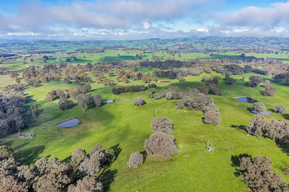 240 Kubeils Road, Merton, VIC, 3715 - Image 1