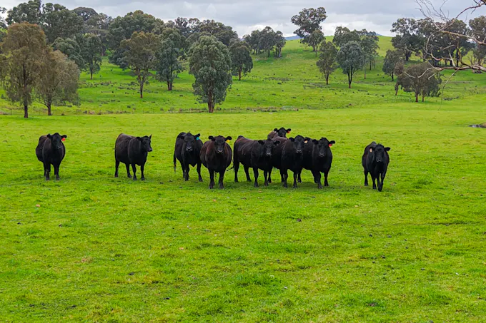 240 Kubeils Road, Merton, VIC, 3715