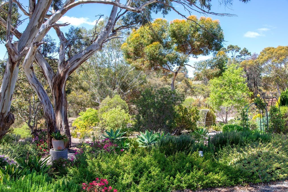 1 March Court, Clare, SA, 5453 - Image 34