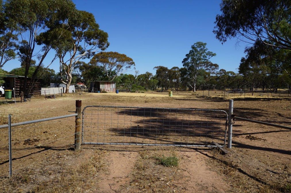 67 Clarke Street, Moora, WA, 6510 - Image 14