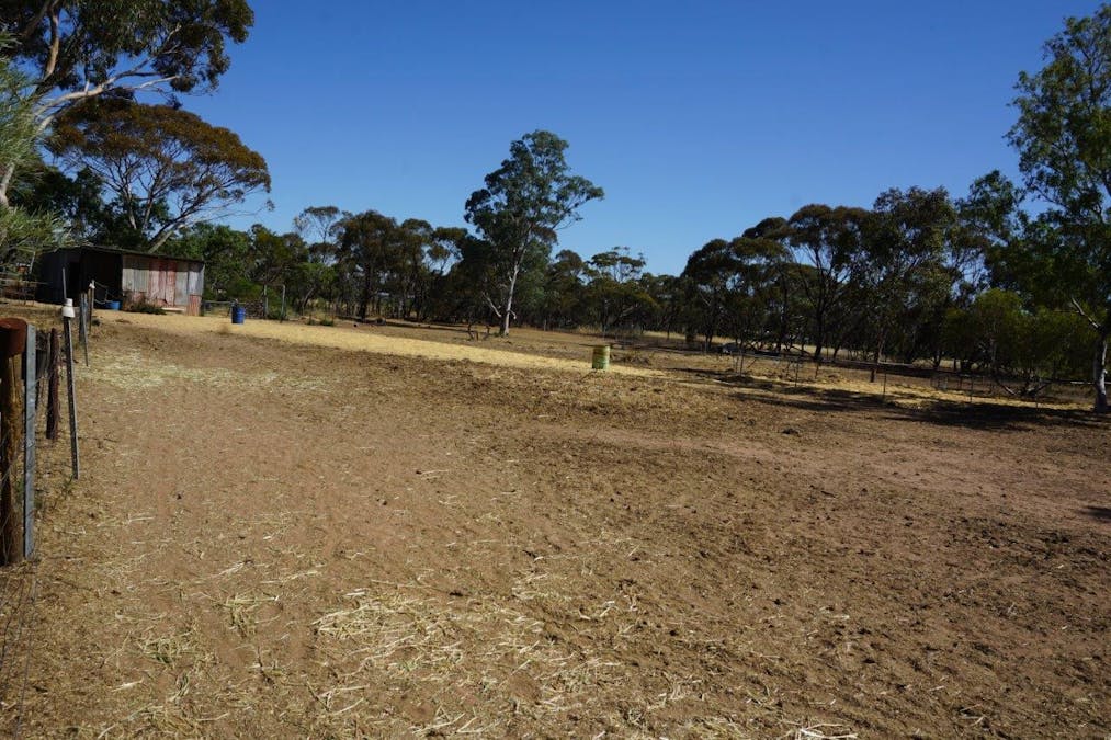 67 Clarke Street, Moora, WA, 6510 - Image 23