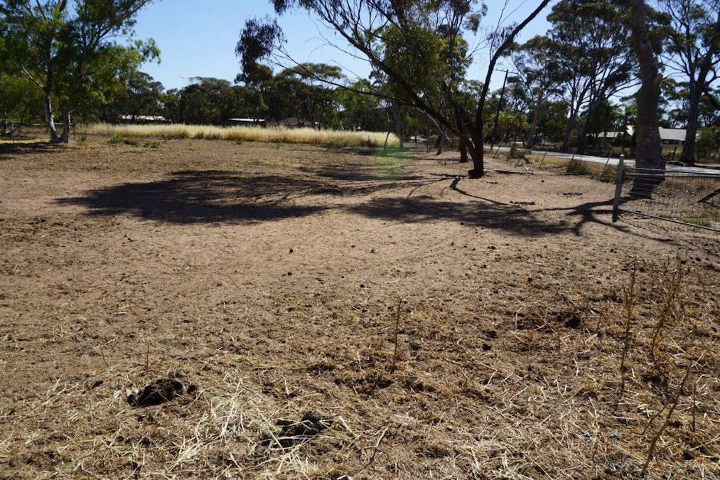 67 Clarke Street, Moora, WA, 6510 - Image 22