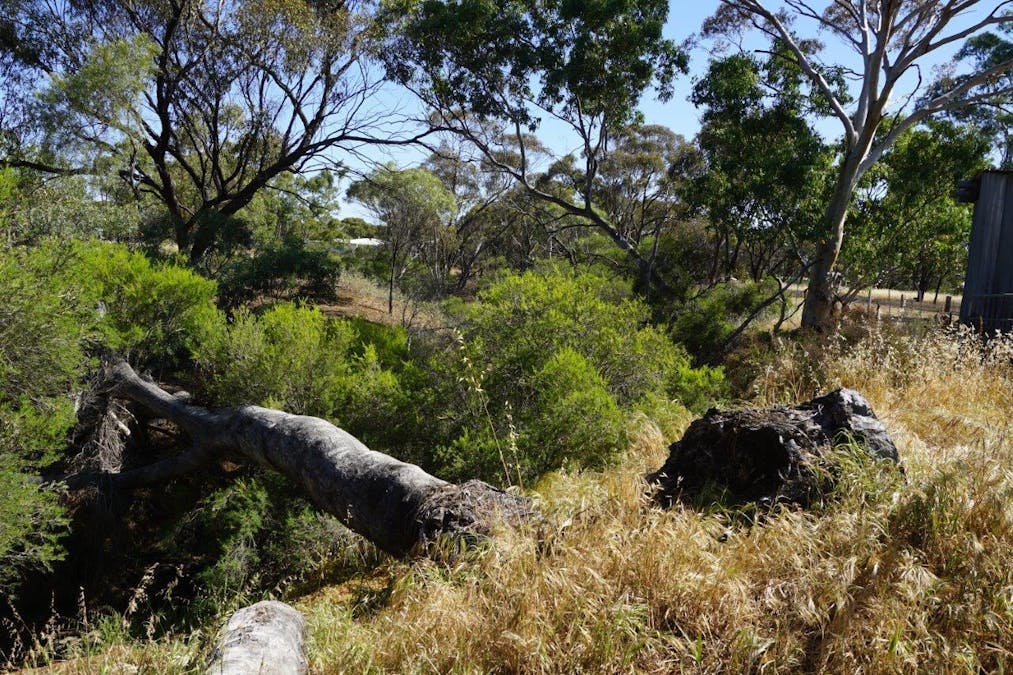 67 Clarke Street, Moora, WA, 6510 - Image 19