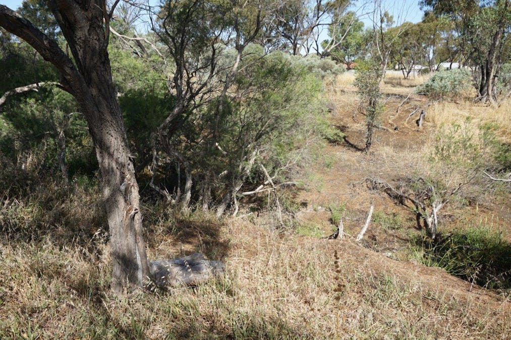 67 Clarke Street, Moora, WA, 6510 - Image 26
