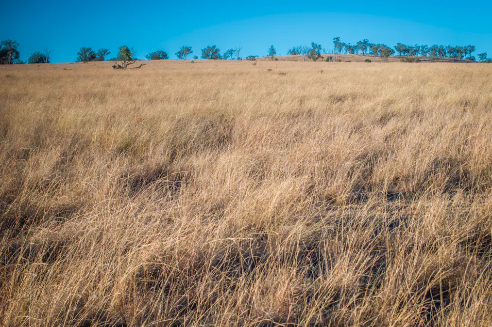 3297 Stanthorpe-Inglewood Road, Inglewood, QLD, 4387 - Image 26