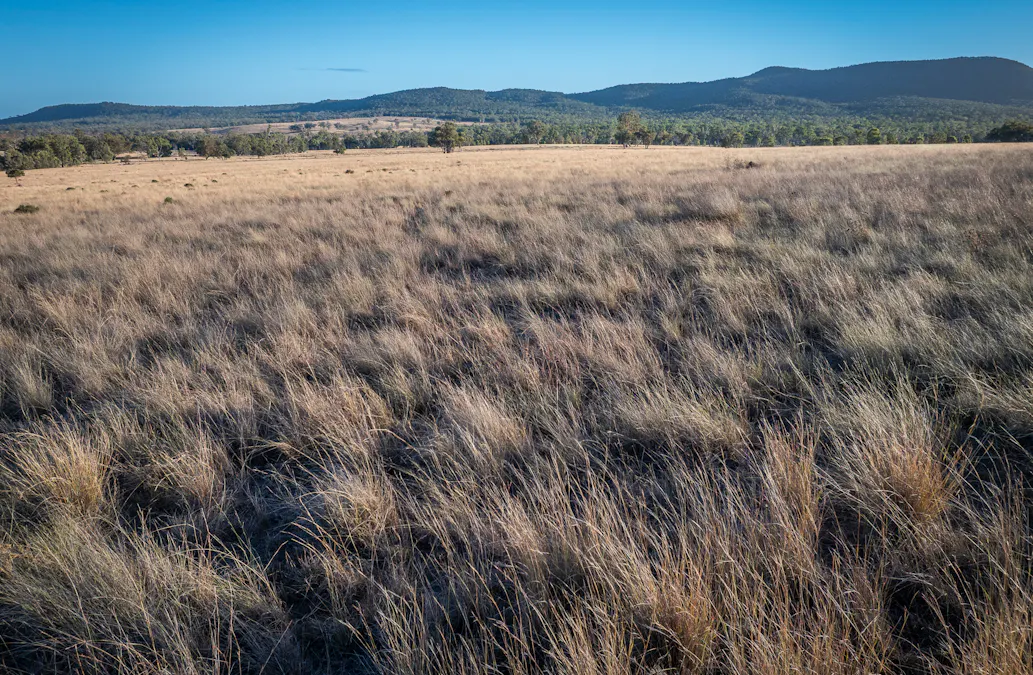 3297 Stanthorpe-Inglewood Road, Inglewood, QLD, 4387 - Image 7