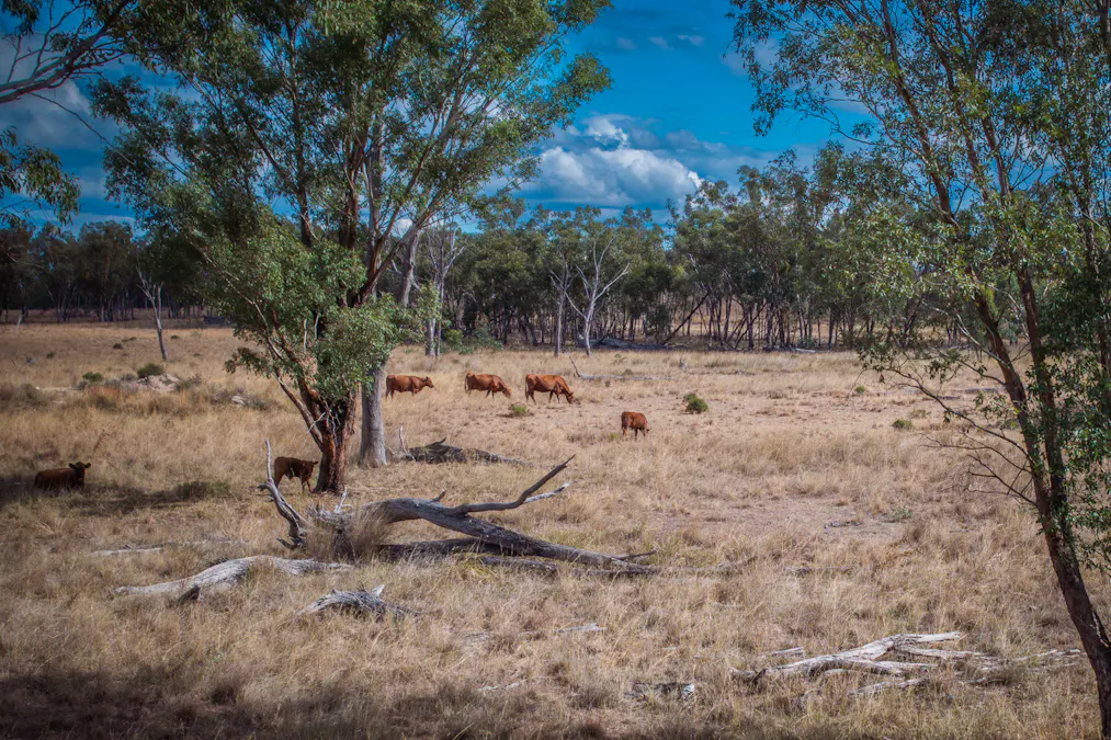 3297 Stanthorpe-Inglewood Road, Inglewood, QLD, 4387 - Image 21