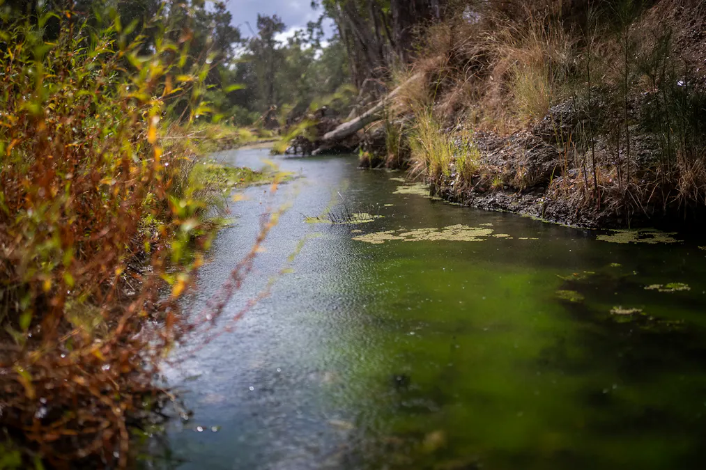 3297 Stanthorpe-Inglewood Road, Inglewood, QLD, 4387 - Image 9