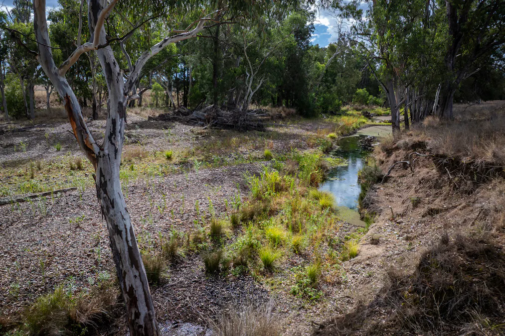 3297 Stanthorpe-Inglewood Road, Inglewood, QLD, 4387 - Image 15