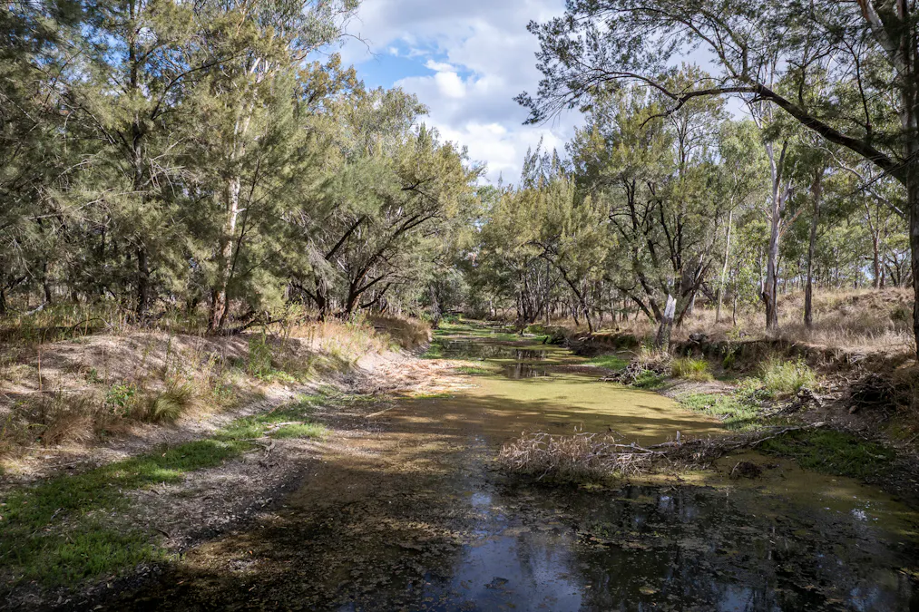 3297 Stanthorpe-Inglewood Road, Inglewood, QLD, 4387 - Image 27