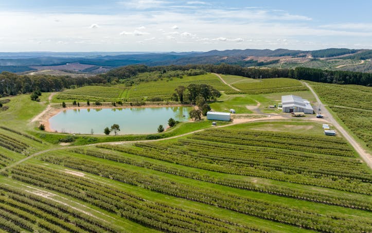 Courabyra, NSW, 2653 - Image 1