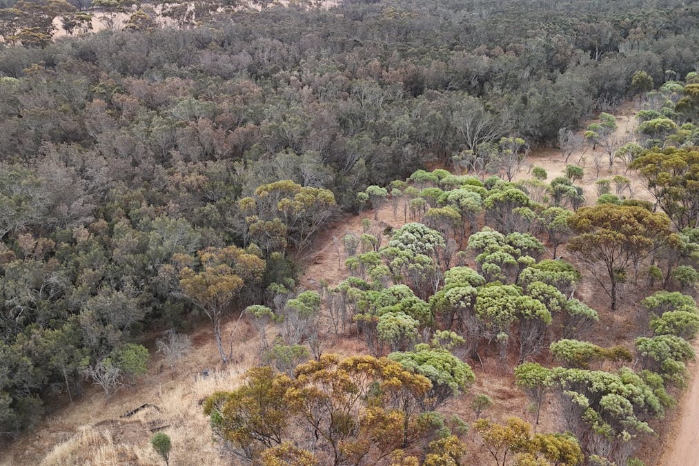 11 Shenton Road, Woodanilling, WA, 6316 - Image 11
