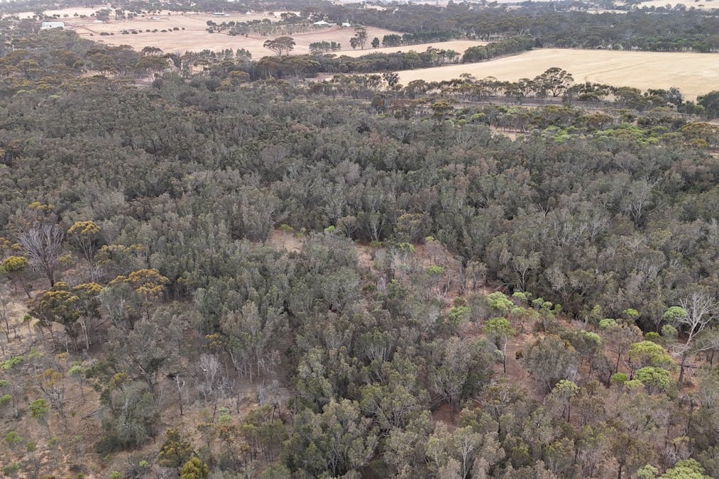 11 Shenton Road, Woodanilling, WA, 6316 - Image 12