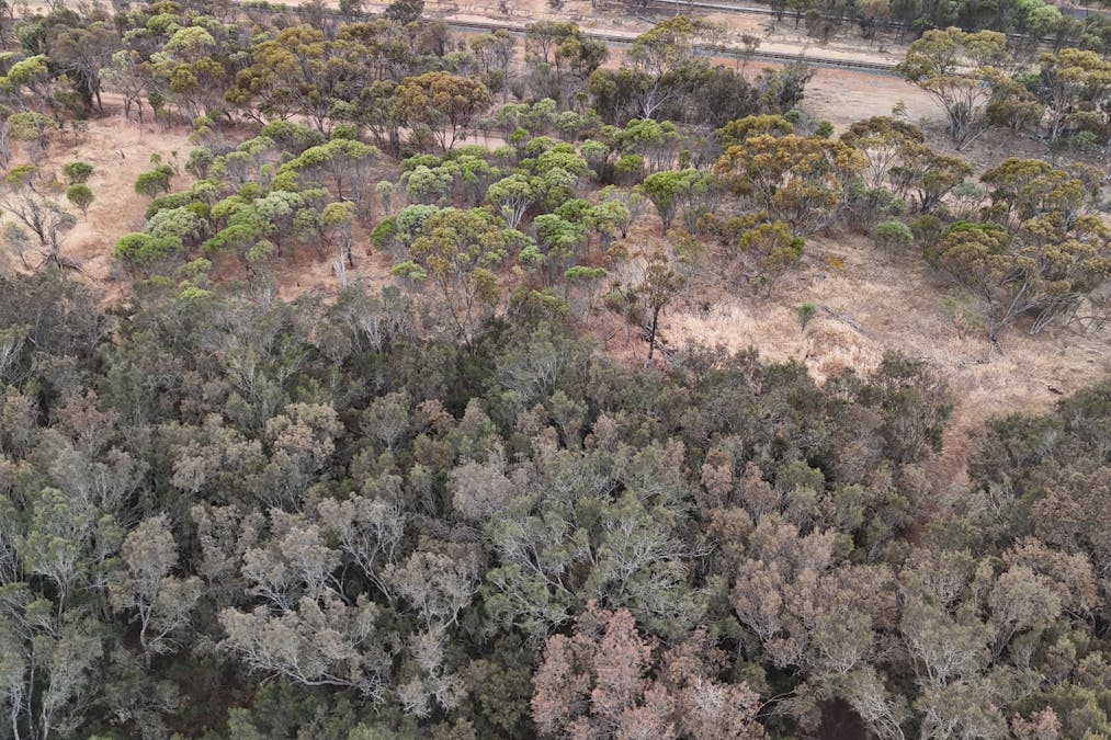 11 Shenton Road, Woodanilling, WA, 6316 - Image 5
