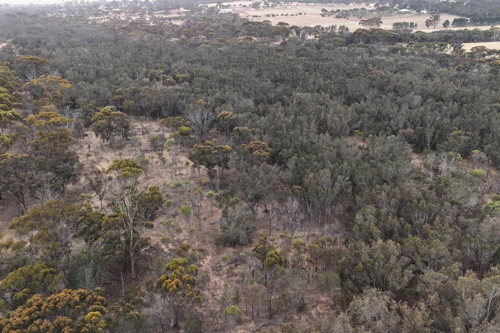11 Shenton Road, Woodanilling, WA, 6316 - Image 6