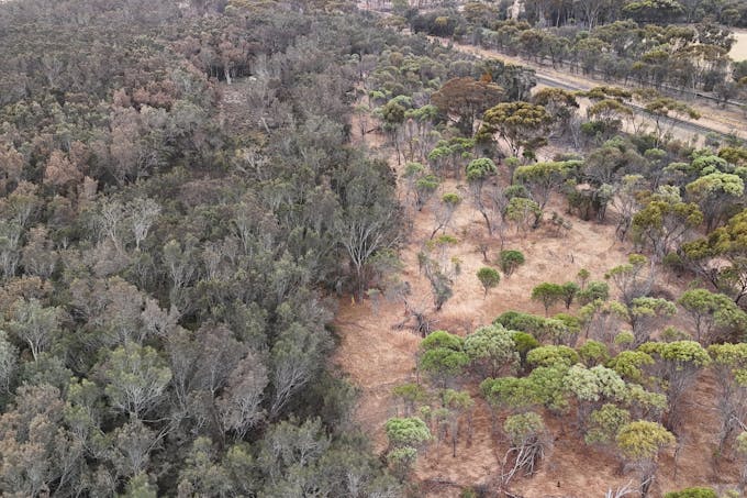 11 Shenton Road, Woodanilling, WA, 6316 - Image 1