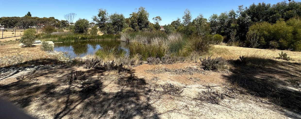 7 Kaatanup Loop, Katanning, WA, 6317 - Image 27