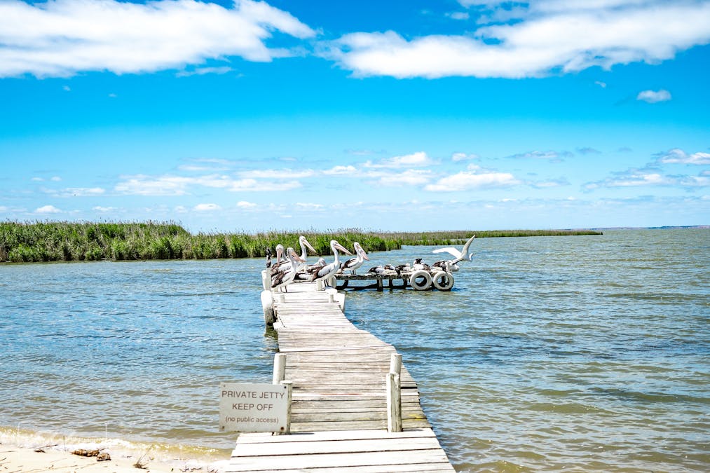 46 Paddlesteamer Drive, Milang, SA, 5256 - Image 5