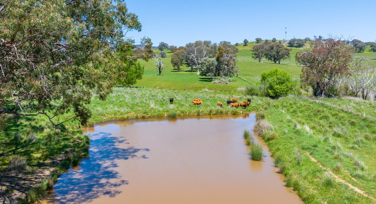 Lot 3 Miller Road, Staghorn Flat, VIC, 3691 - Image 11