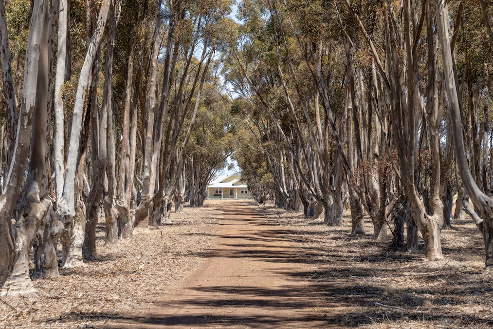 1561 Rifle Butts Road, Noradjuha, VIC, 3409 - Image 18