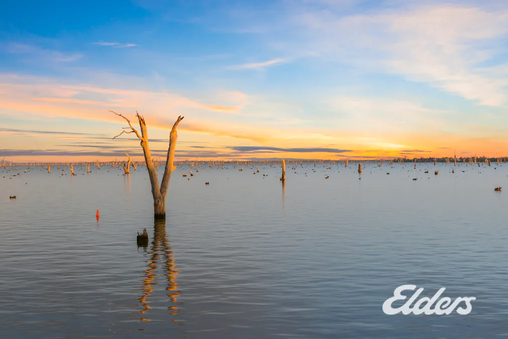 91 Corowa Road, Mulwala, NSW, 2647 - Image 28