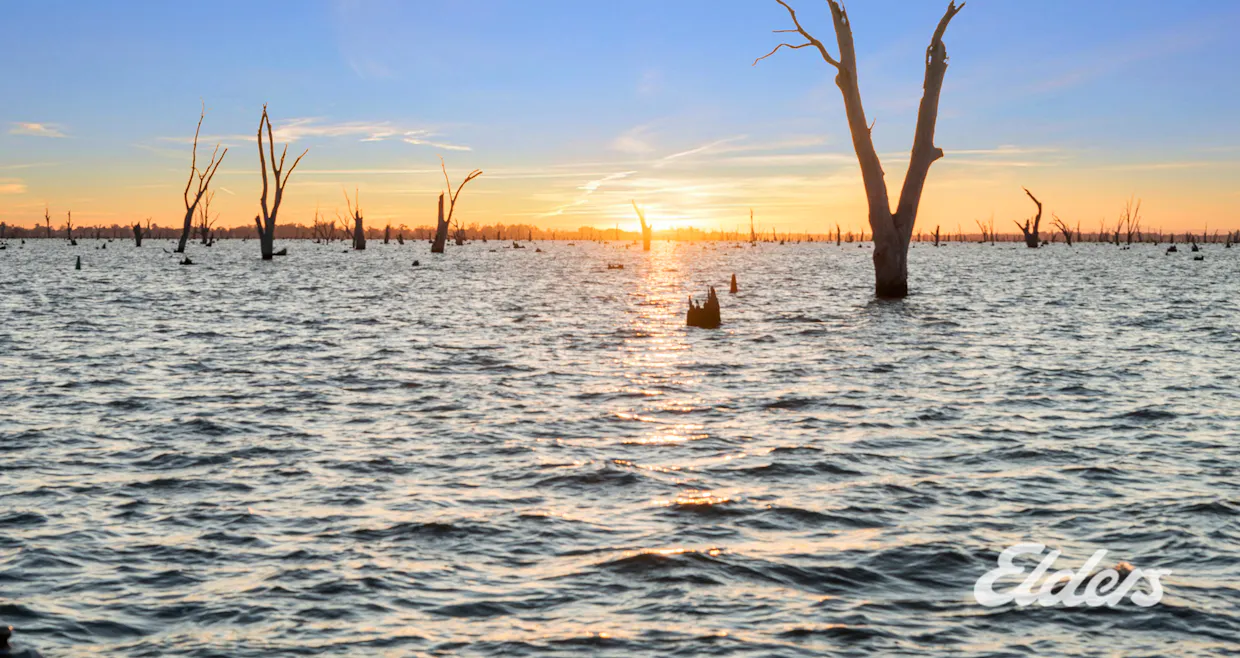 91 Corowa Road, Mulwala, NSW, 2647 - Image 35