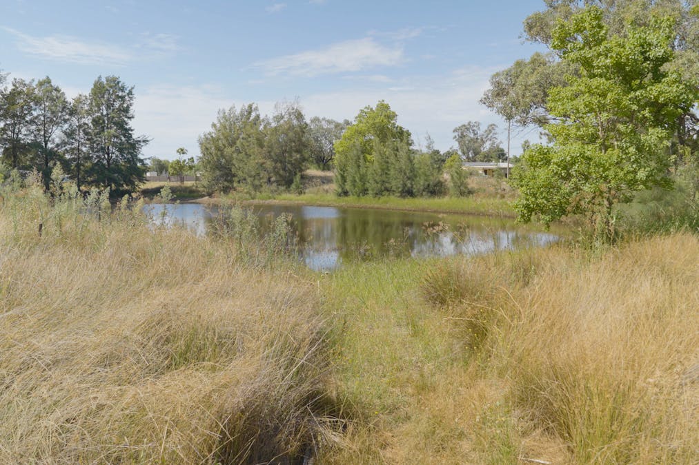 28 Beni Street, Wongarbon, NSW, 2831 - Image 8