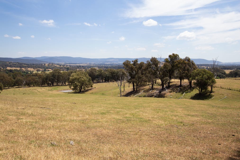 2900 Samaria Road, Samaria, VIC, 3673 - Image 3