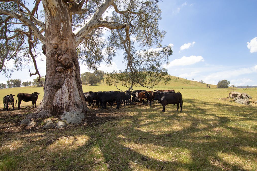 2900 Samaria Road, Samaria, VIC, 3673 - Image 4