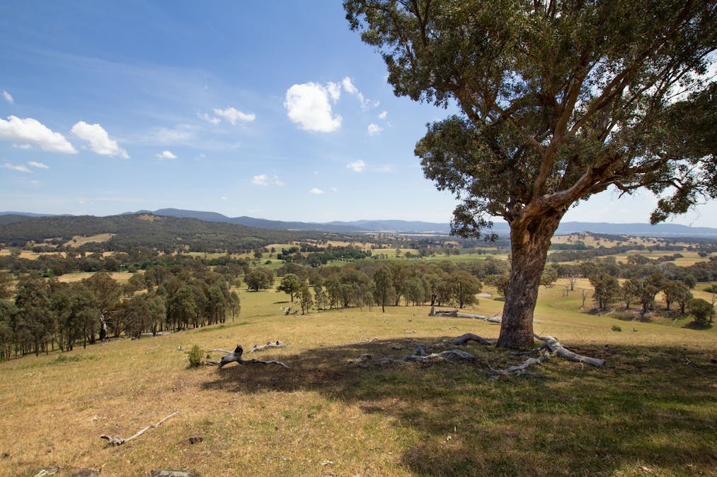2900 Samaria Road, Samaria, VIC, 3673 - Image 1