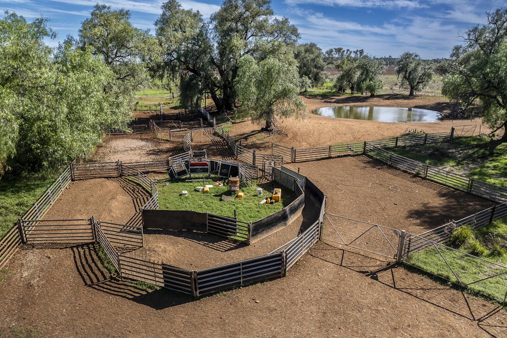Bellerive 475 River Road, Ponto, NSW, 2818 - Image 14