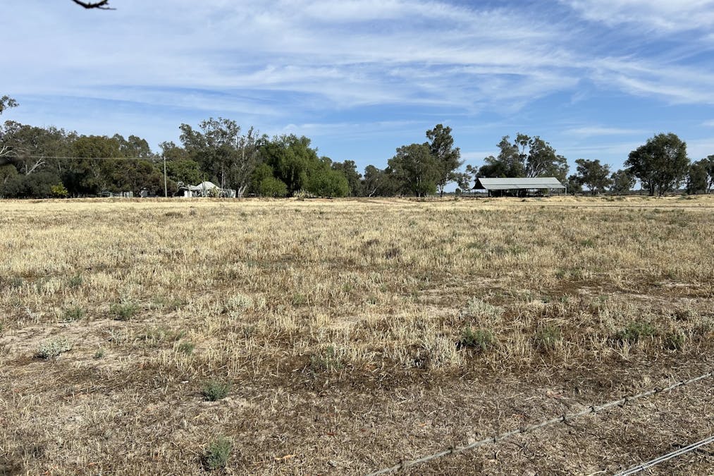 93 Gelam Street, Maude, NSW, 2711 - Image 12
