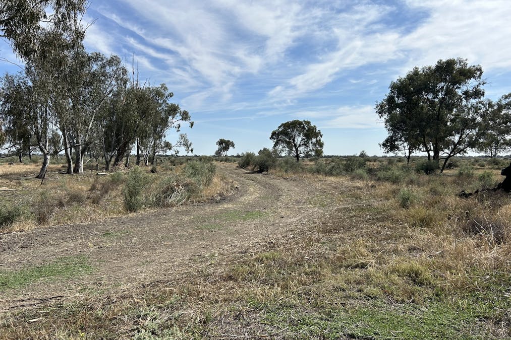 93 Gelam Street, Maude, NSW, 2711 - Image 13