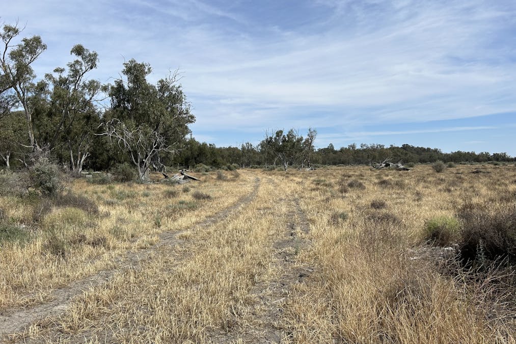 93 Gelam Street, Maude, NSW, 2711 - Image 14