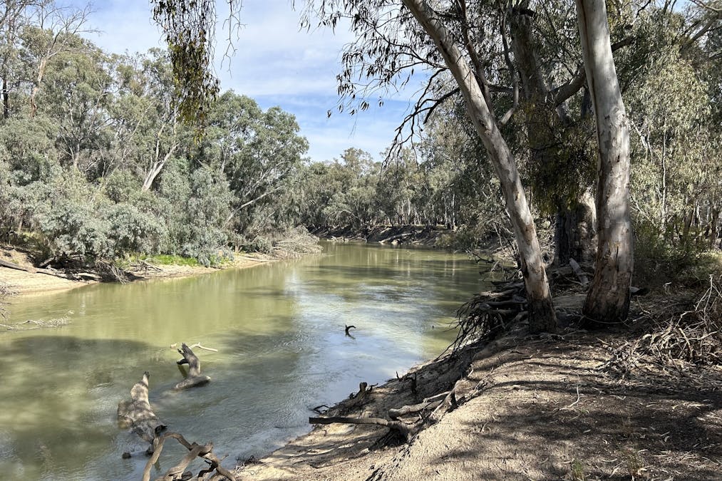 93 Gelam Street, Maude, NSW, 2711 - Image 2