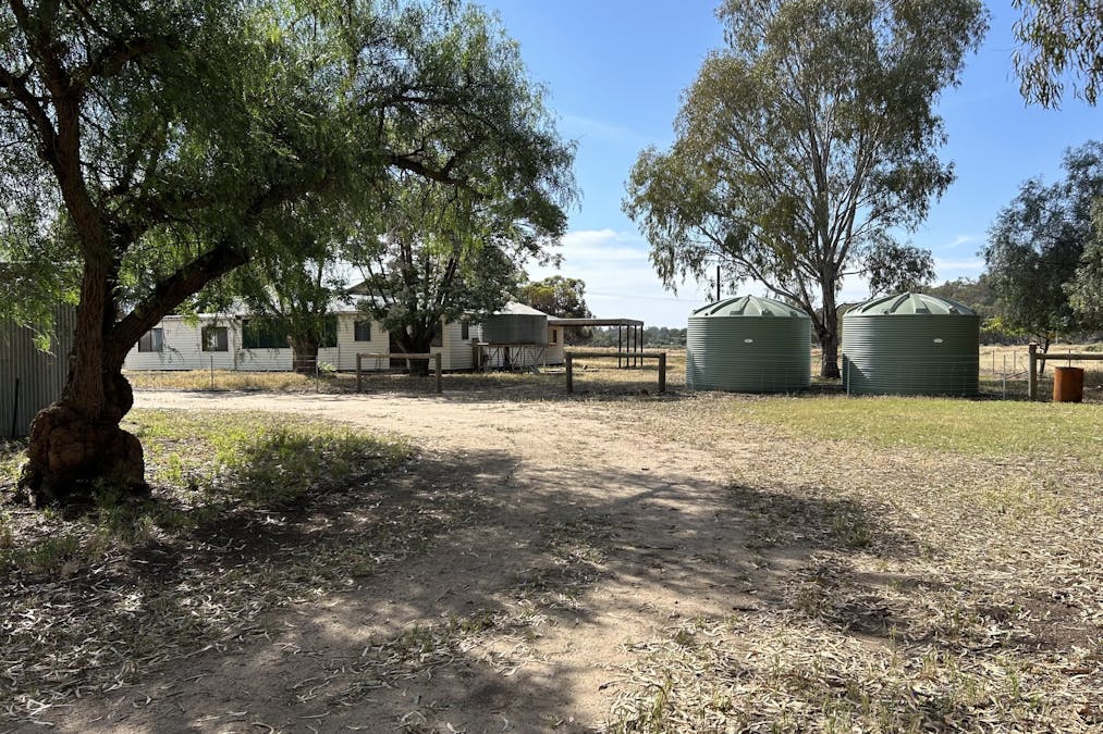 93 Gelam Street, Maude, NSW, 2711 - Image 3